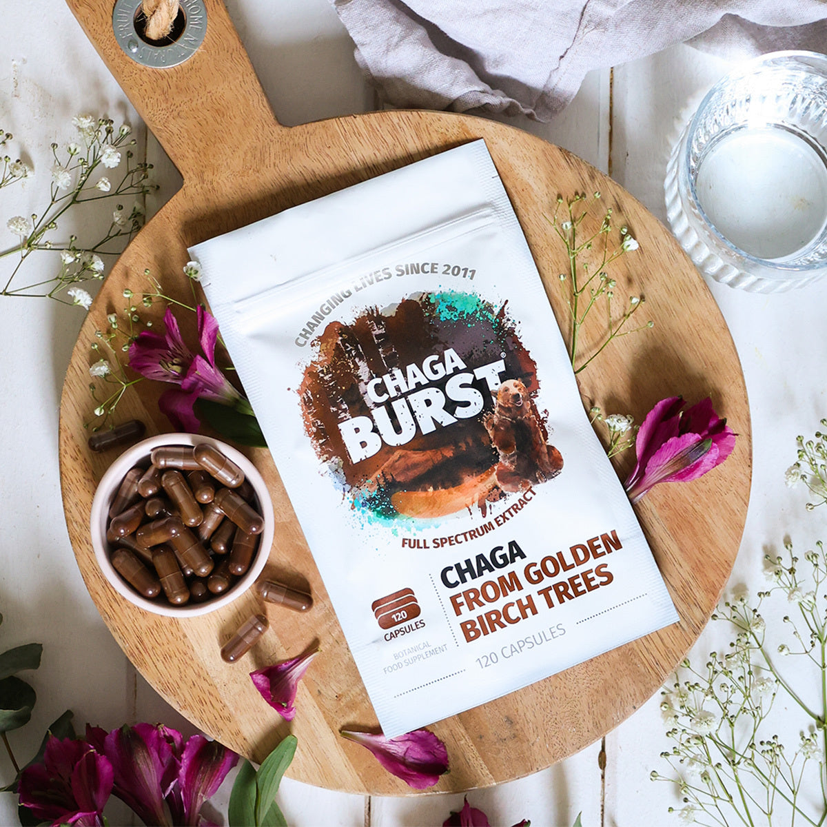 Chaga Extract