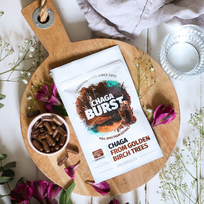 Chaga Extract