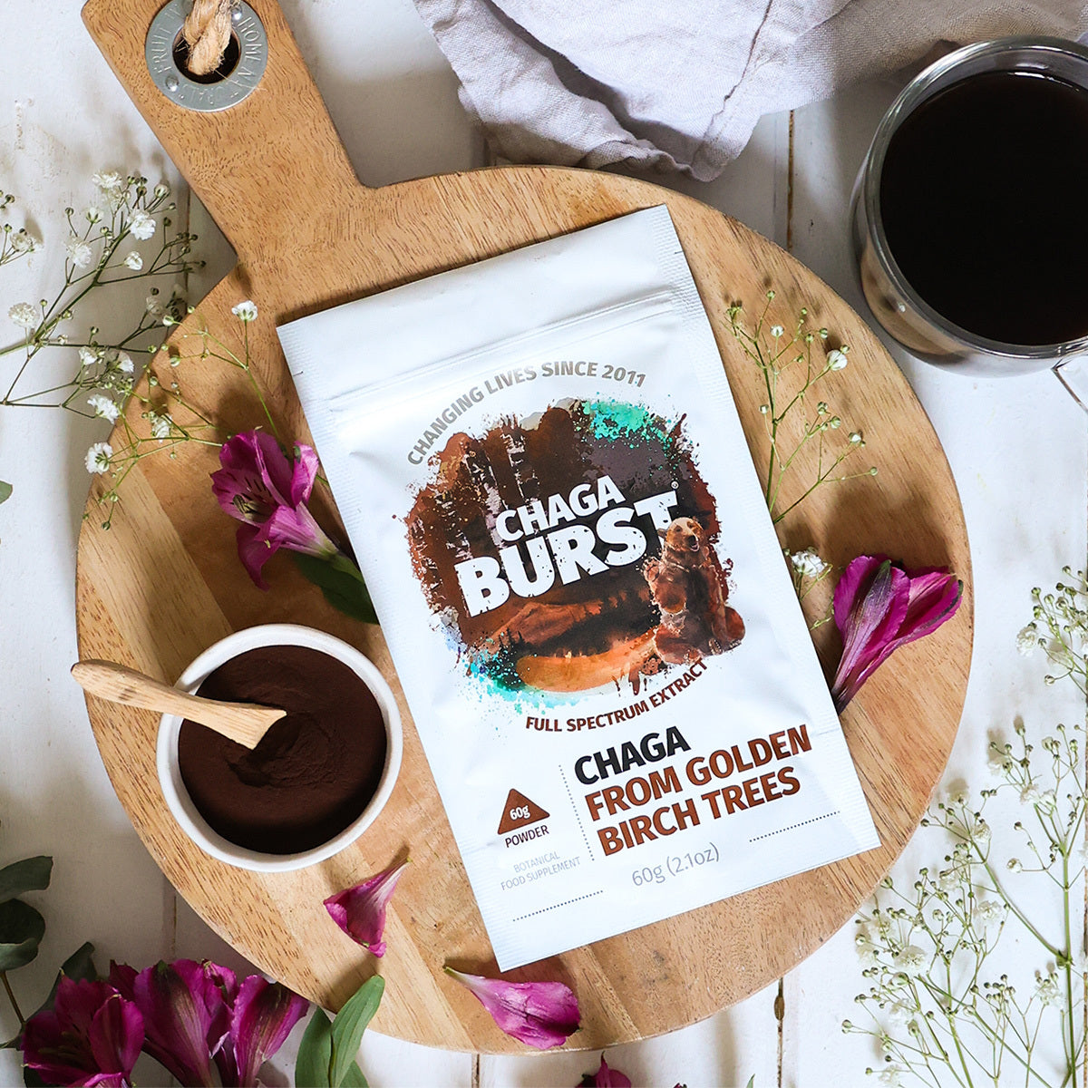 Chaga Extract